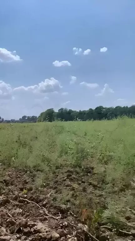 Участок в Краснодарский край, Апшеронский район, Кубанское с/пос  (4.0 ... - Фото 2