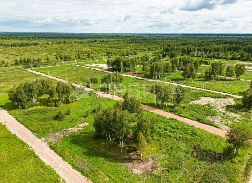 Участок в Тюменская область, Тюменский муниципальный округ Салаирский ... - Фото 1
