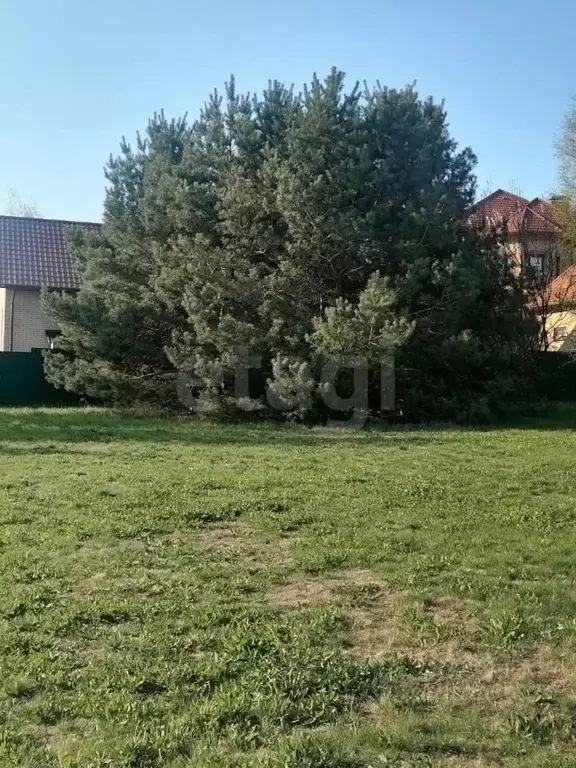 Участок в Белгородская область, Белгородский район, Комсомольское ... - Фото 1