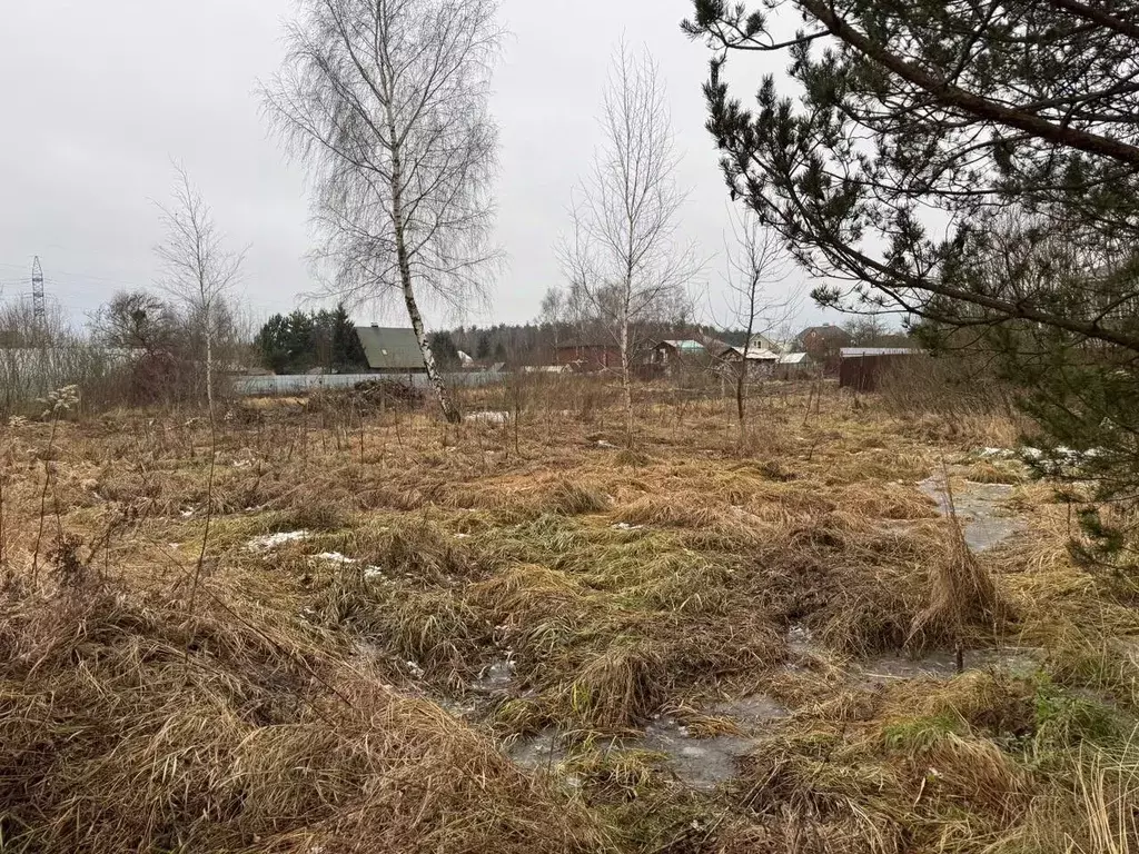 Участок в Московская область, Богородский городской округ, д. ... - Фото 2