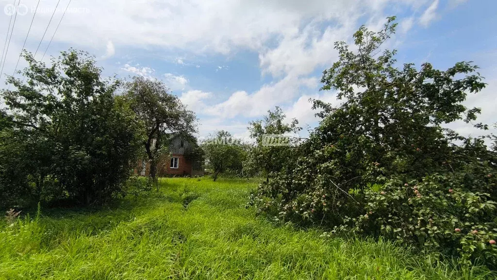 Дом в Логиново, 1А (65 м) - Фото 2