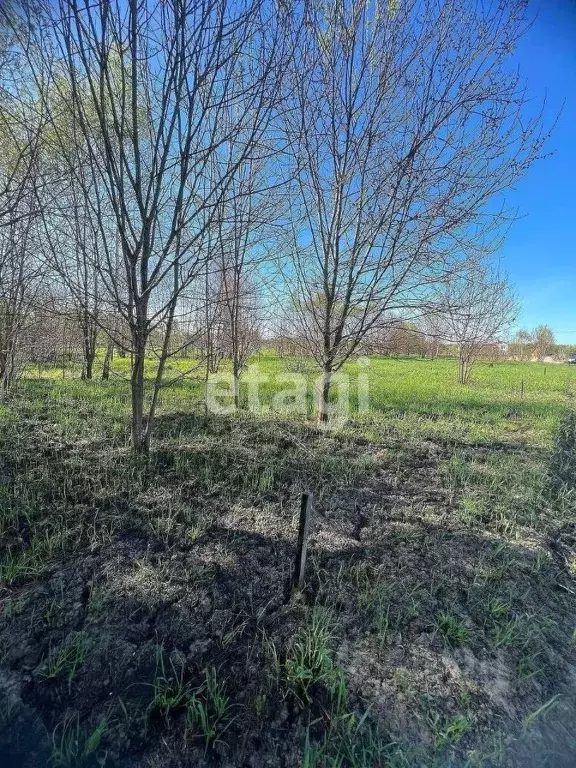 Участок в Калужская область, Бабынинский муниципальный округ, ... - Фото 1