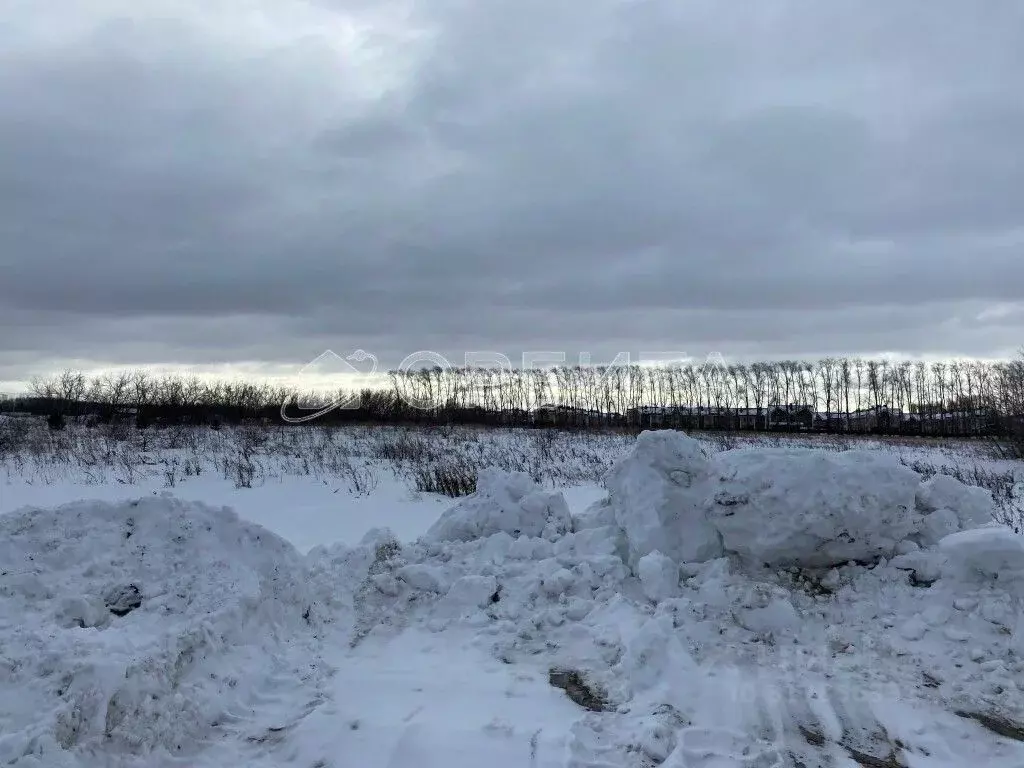 Участок в Тюменская область, Тюменский район, с. Луговое Плодовая ул. ... - Фото 0