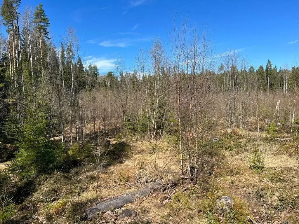 Участок в Карелия, Петрозаводск Древлянка-3 тер., Звездный мкр,  (9.0 ... - Фото 1
