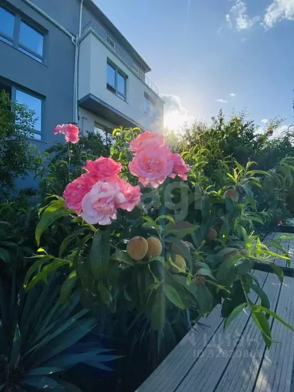 Дом в Крым, Ялта муниципальный округ, Краснокаменка пгт ул. ... - Фото 1