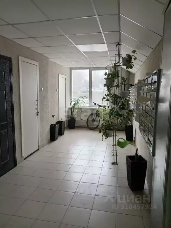 3-к кв. Новосибирская область, Новосибирск Тульская ул., 80 (82.5 м) - Фото 0