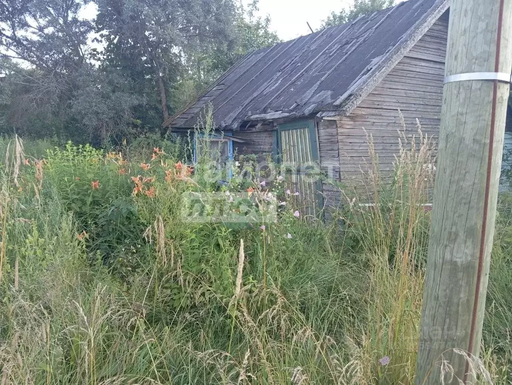 участок в вологодская область, пос. васильевское ул. рабочая, 7 (4.0 . - Фото 1