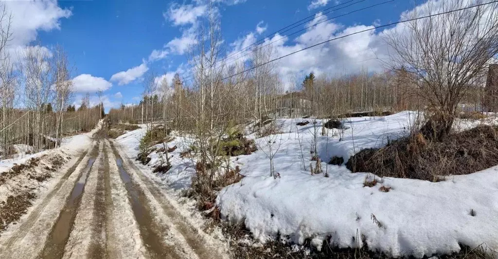 Участок в Иркутская область, Иркутский муниципальный округ, д. ... - Фото 2