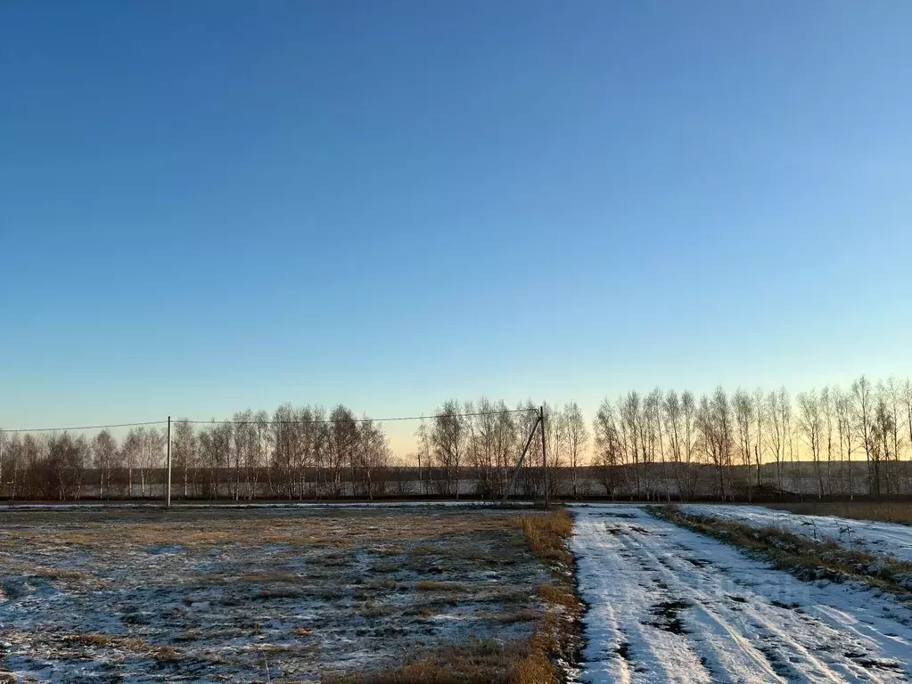 Участок в Московская область, Чехов городской округ, Лучи дп  (6.04 ... - Фото 0