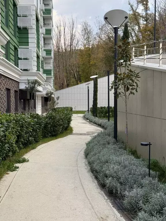 1-к кв. Краснодарский край, Сочи ул. Ленина, 290/8к3 (30.1 м) - Фото 2