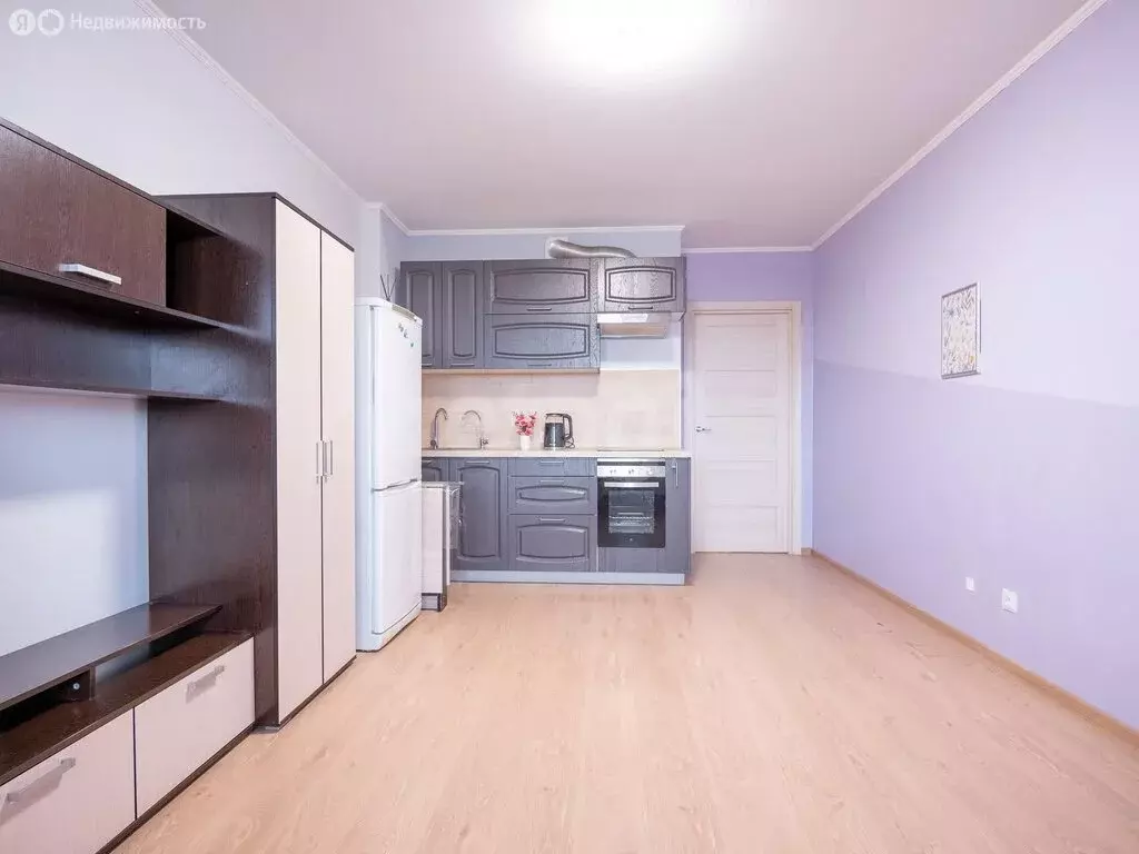 Квартира-студия: Санкт-Петербург, проспект Энергетиков, 9к3 (25 м) - Фото 2