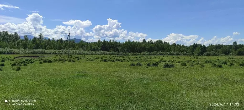 Участок в Алтай, Усть-Коксинский район, пос. Октябрьское ул. Дорожная ... - Фото 1