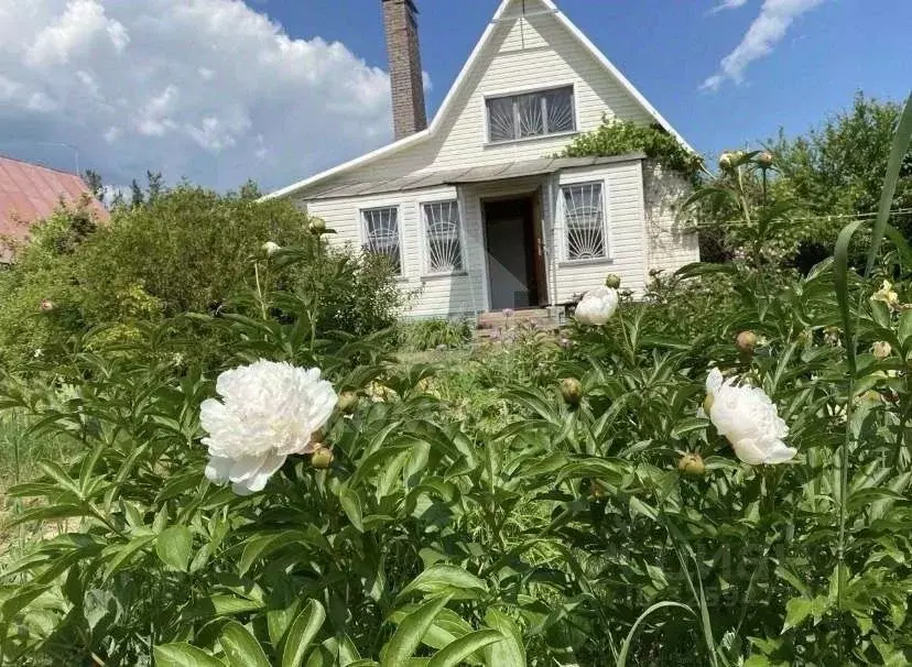 Дом в Воронежская область, Новоусманский район, Хреновское с/пос, с. ... - Фото 1