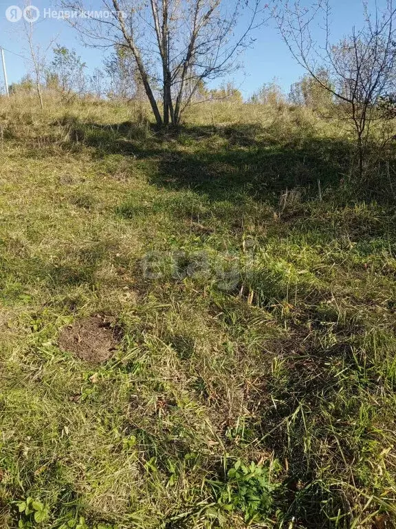 Участок в Троицкий район, село Зелёная Поляна (15 м) - Фото 0