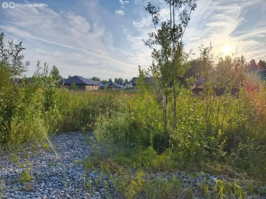 Участок в Тюменская область, Тобольский муниципальный округ, ... - Фото 1