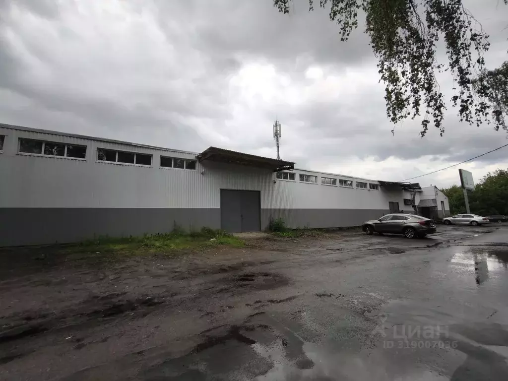 Помещение свободного назначения в Московская область, Ногинск ... - Фото 0