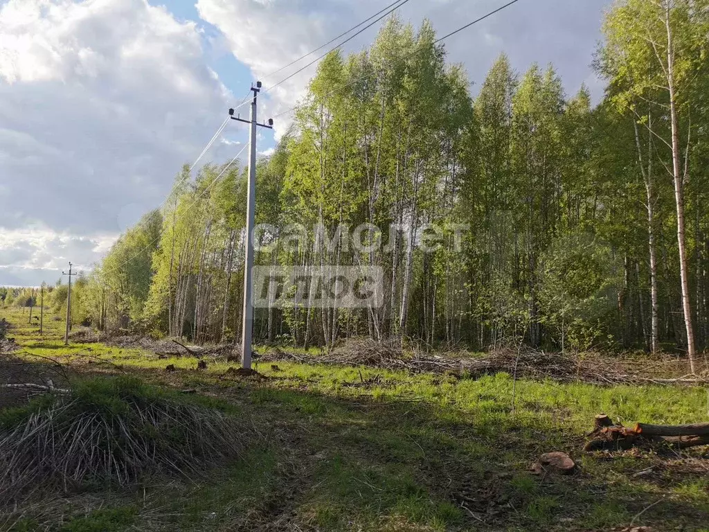 Участок 100 сот. (ИЖС) - Фото 0