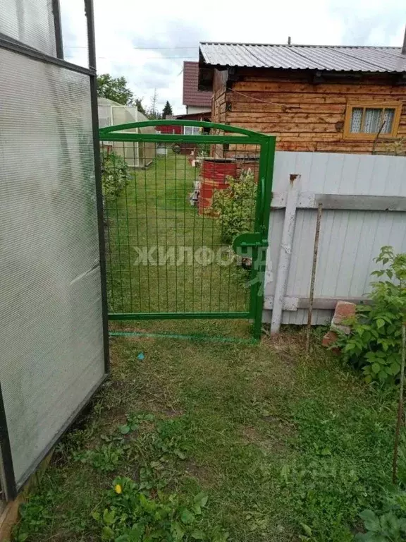 Дом в Новосибирская область, Колыванский район, Надежда СТ  (10 м) - Фото 0