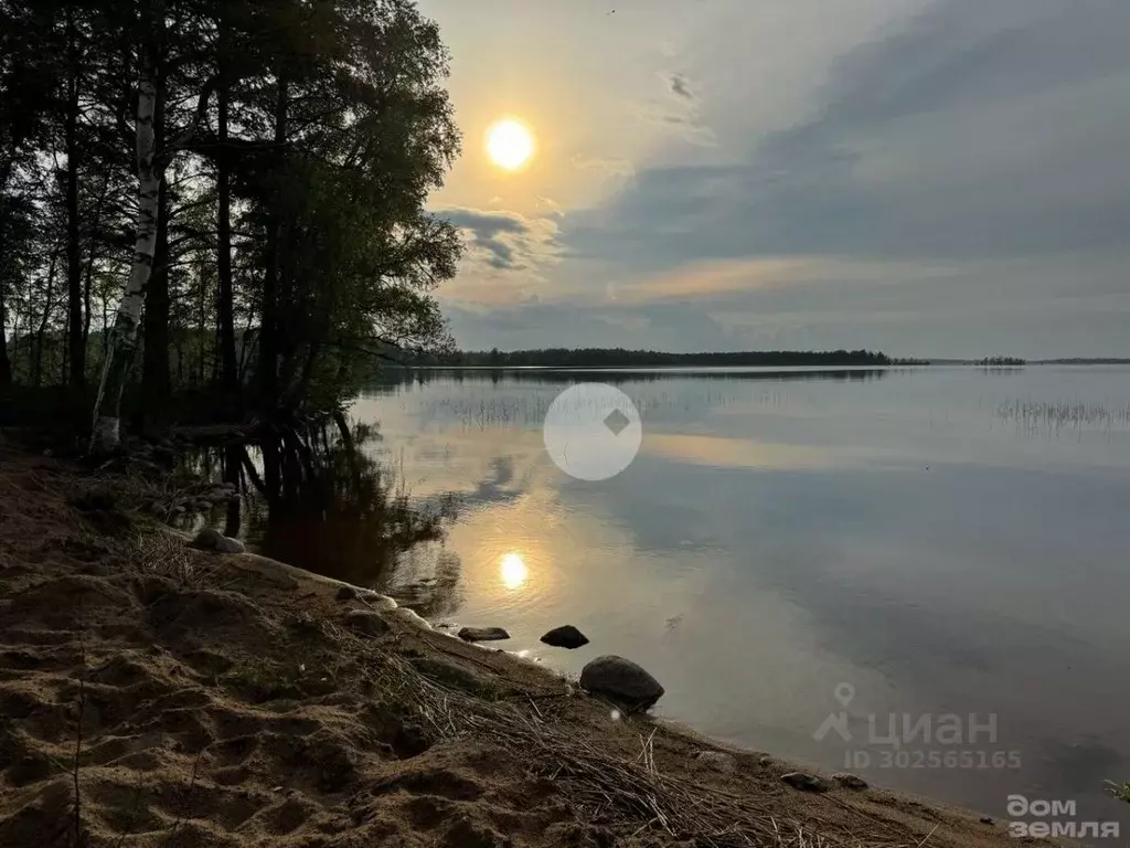 Участок в Ленинградская область, Приозерский район, Громовское с/пос, ... - Фото 0