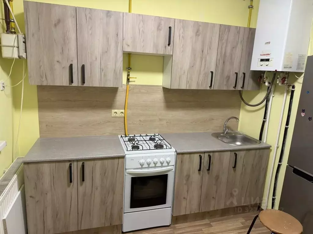 1-к кв. Московская область, Истра муниципальный округ, д. Исаково ул. ... - Фото 1