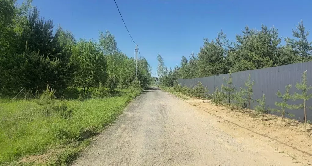 Участок в Московская область, Щелково городской округ, Новое Орлово кп ... - Фото 1