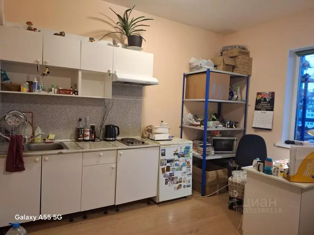 Студия Санкт-Петербург Комендантский просп., 69 (24.6 м) - Фото 1