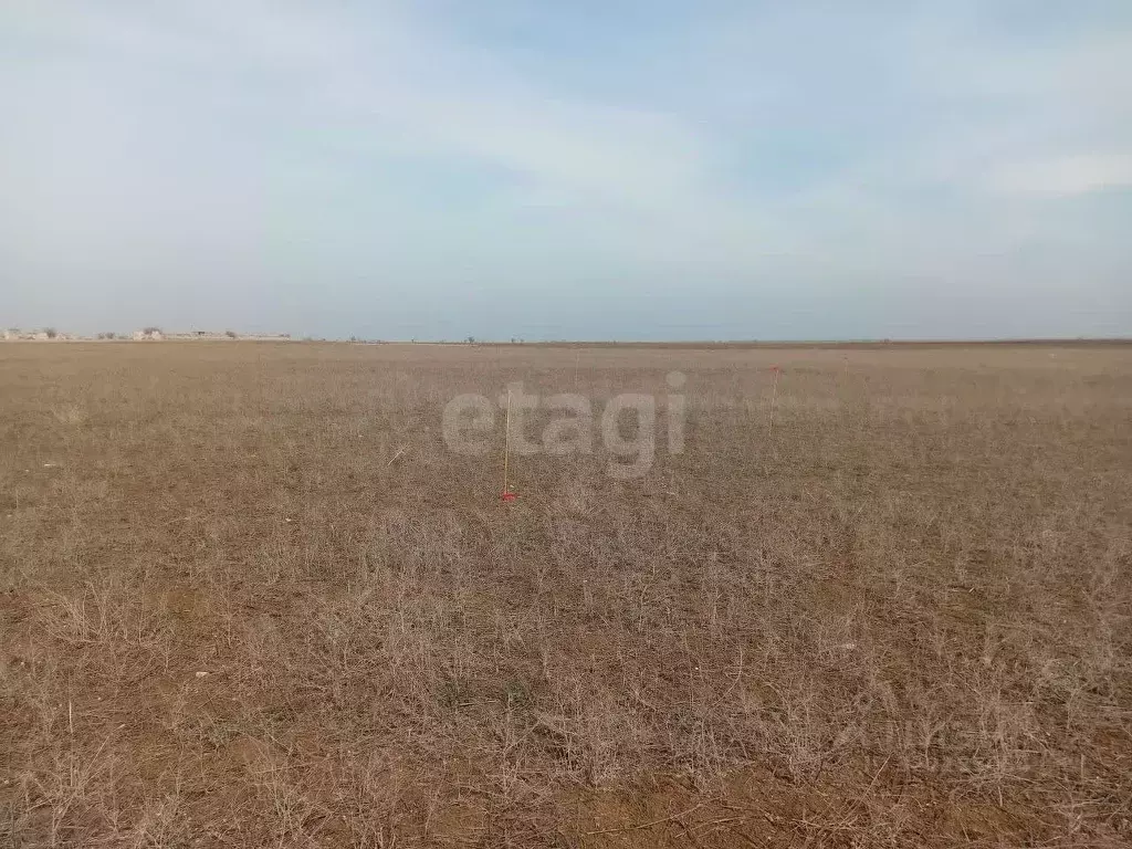 Участок в Крым, Сакский район, Штормовское с/пос проезд Сосновый (6.0 ... - Фото 1