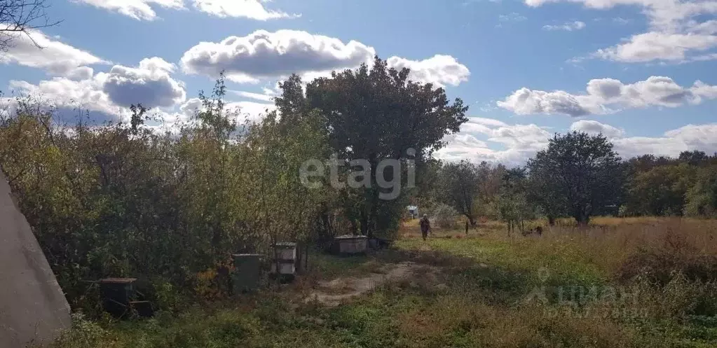 Участок в Амурская область, Благовещенск  (7.7 сот.) - Фото 0