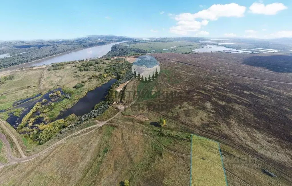 Участок в Алтайский край, Барнаул городской округ, Поселок Казенная ... - Фото 1