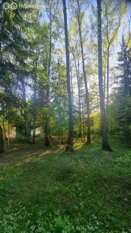 Дом в Чехов, Серпуховская улица, 10 (70 м) - Фото 1
