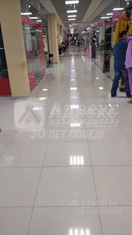 Торговая площадь в Тюменская область, Тюмень ул. Герцена, 101 (6 м) - Фото 2