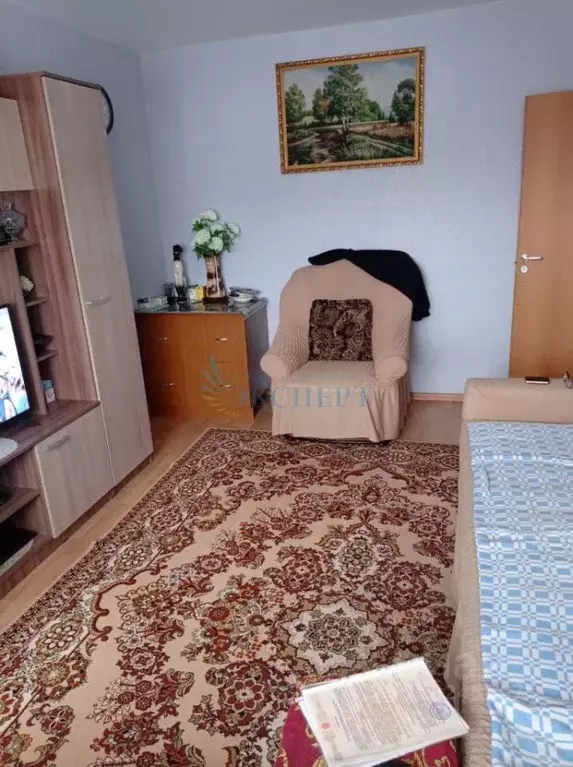 3-к кв. Нижегородская область, Большое Мурашкино рп, пос. Меховщиков ... - Фото 1