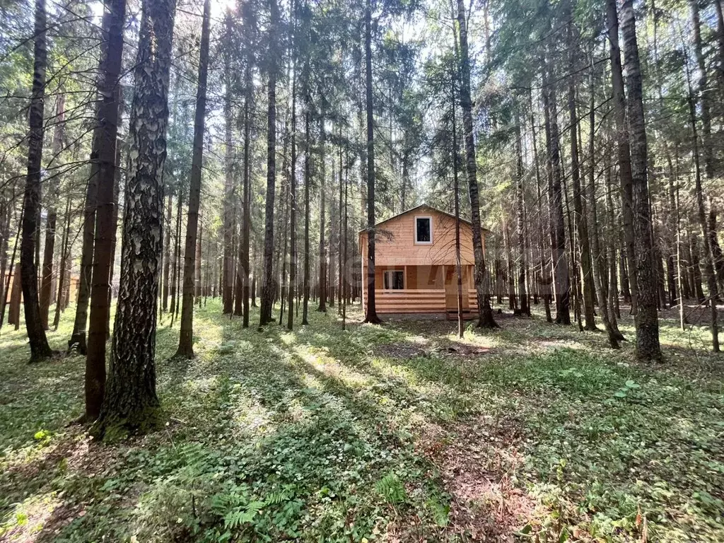 Участок в Московская область, Одинцовский городской округ, пос. Ветка ... - Фото 1