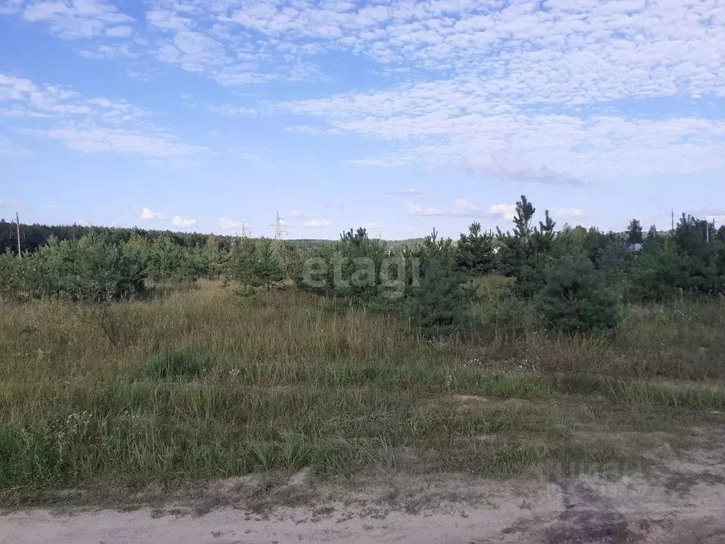 Участок в Брянская область, Навля рп ул. 2-й Дачный Микрорайон (8.0 ... - Фото 1