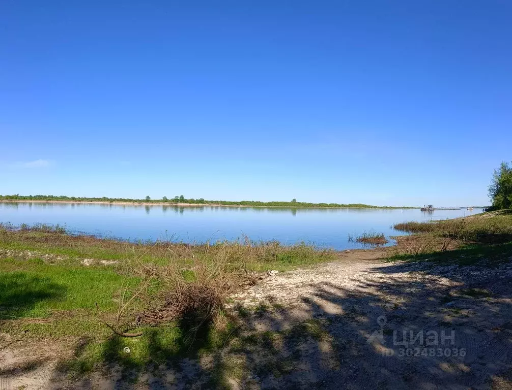 Участок в Нижегородская область, Балахна  (6.0 сот.) - Фото 1