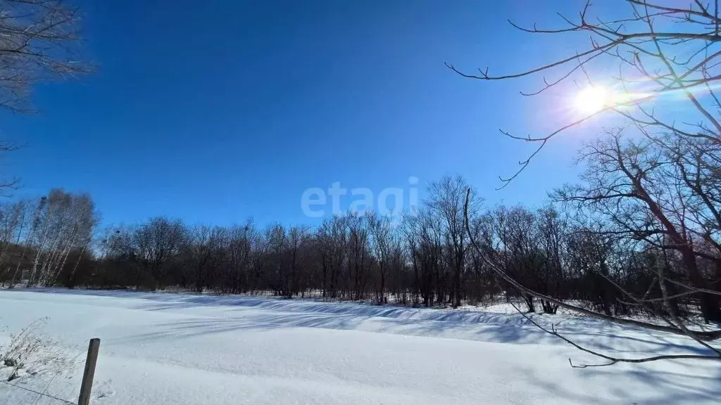 Участок в Еврейская автономная область, Смидовичский район, с. ... - Фото 2