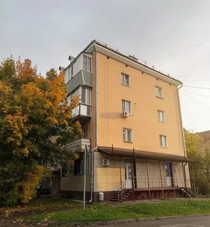 1-к кв. Московская область, Красноармейск Пушкинский городской округ, ... - Фото 2