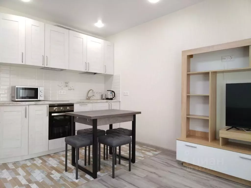 Студия Ленинградская область, Ломоносовский район, Виллозское ... - Фото 2