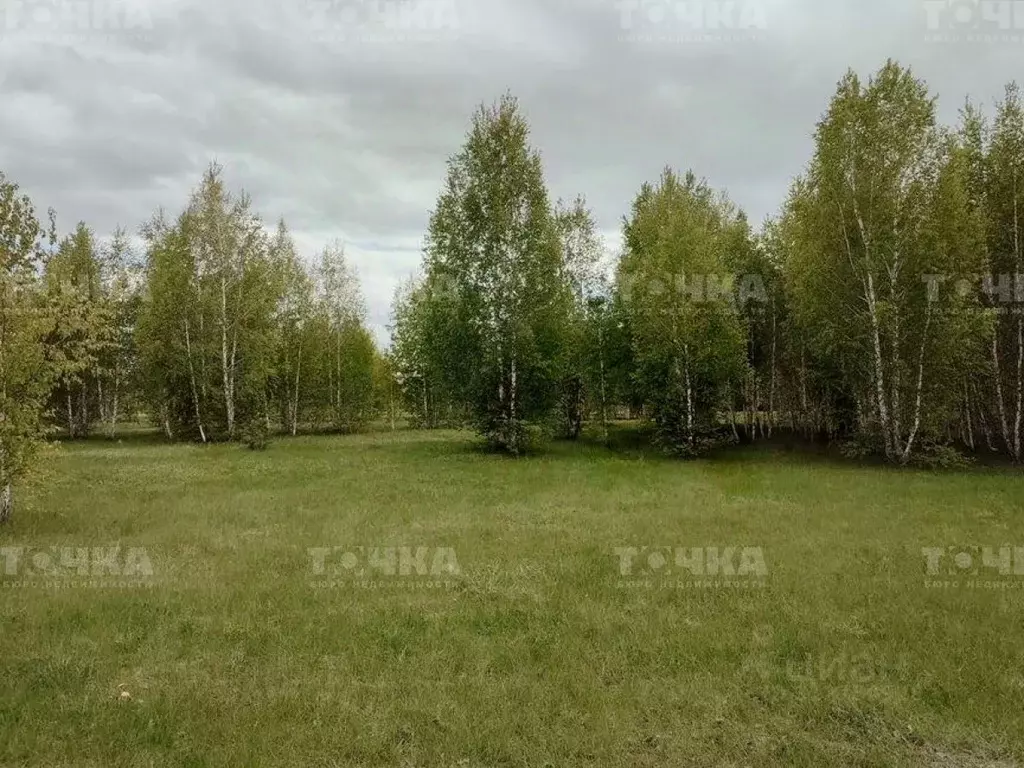 Участок в Челябинская область, Чебаркульский район, Травниковское ... - Фото 1