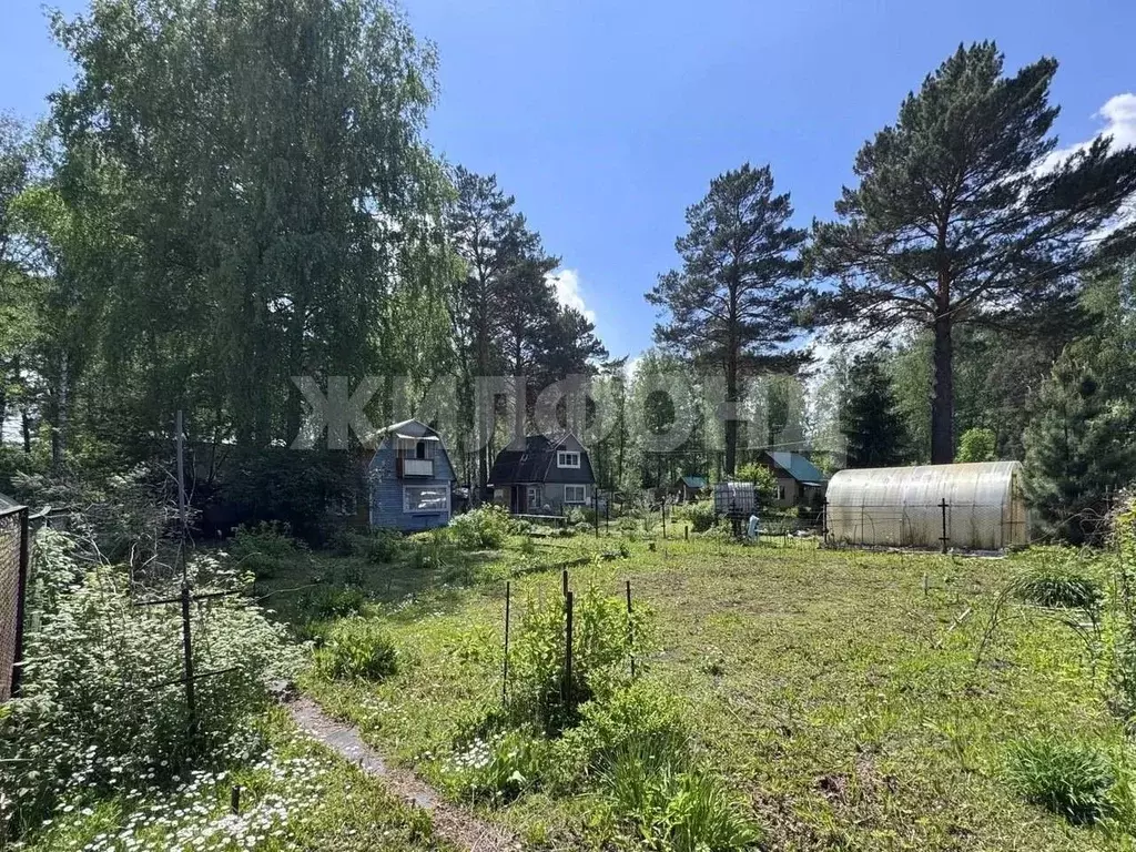 Дом в Новосибирская область, Новосибирский район, Березовский ... - Фото 0