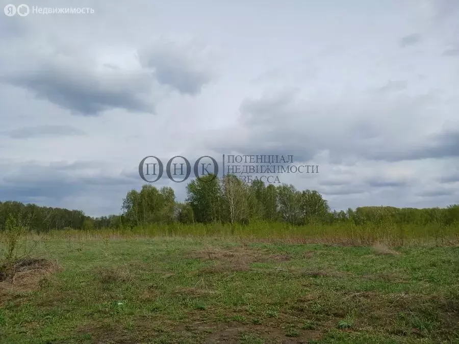 Участок в Кемерово, СНТ Сухой Искитим, 1342 (8 м) - Фото 1