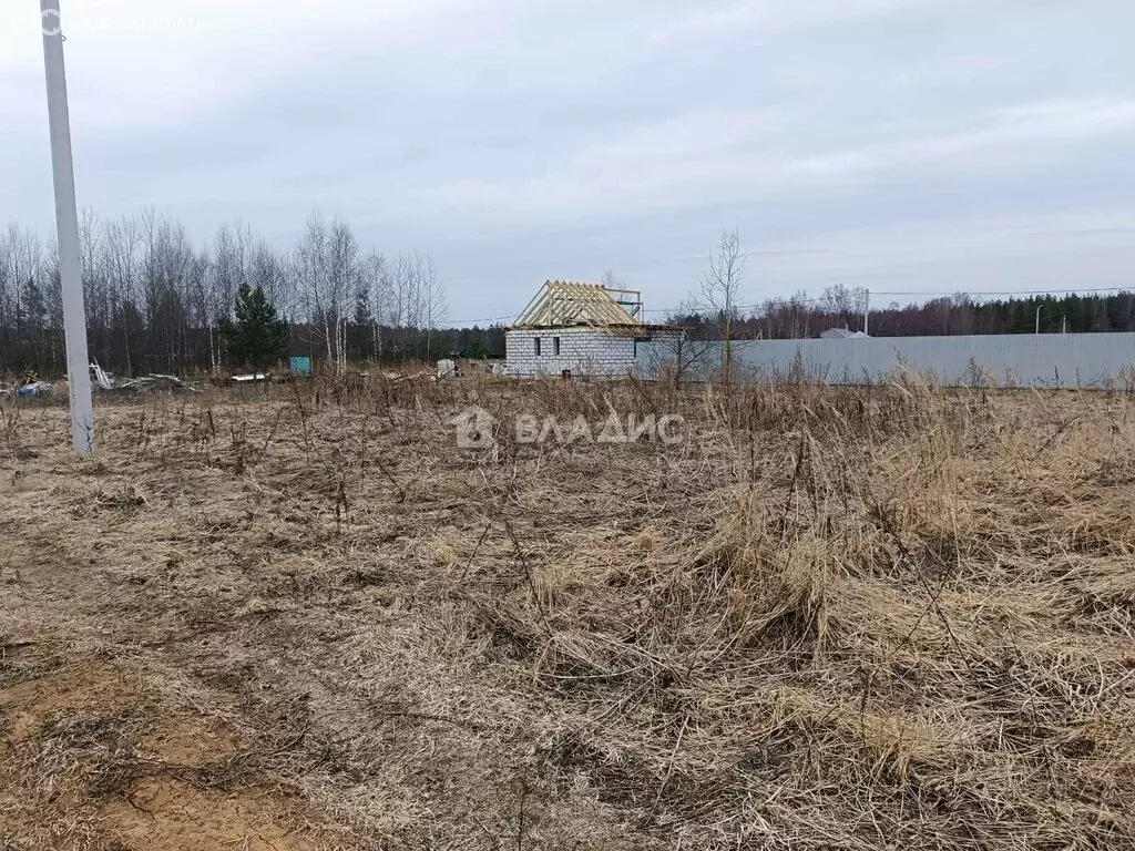 Участок в Владимирская область, Камешковский муниципальный округ, ... - Фото 2