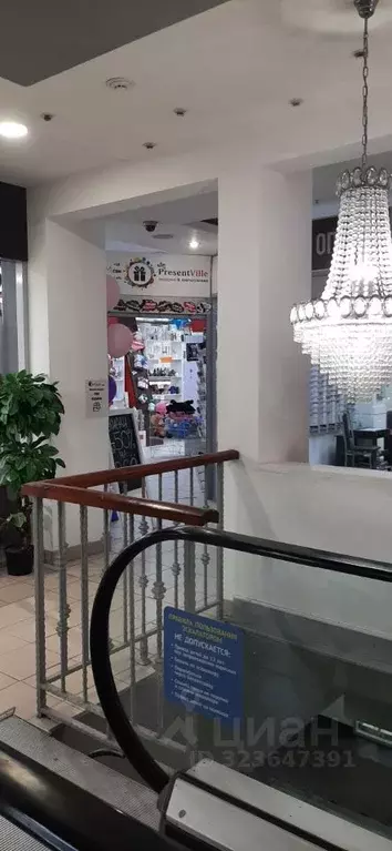 Торговая площадь в Пермский край, Пермь ул. Ленина, 88 (100 м) - Фото 2