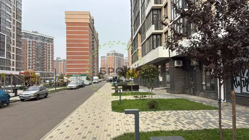 Помещение свободного назначения в Краснодарский край, Краснодар ул. ... - Фото 1