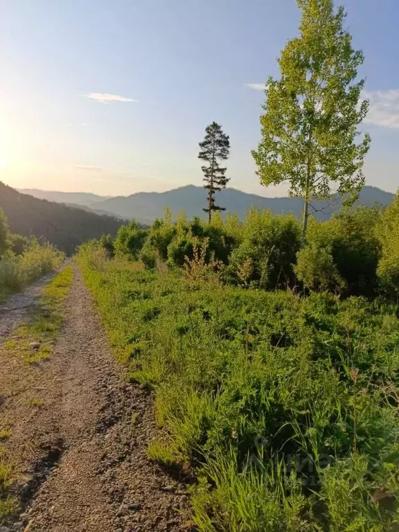 Участок в Алтай, Майминский район, Манжерокское с/пос, с. Озерное ул. ... - Фото 2