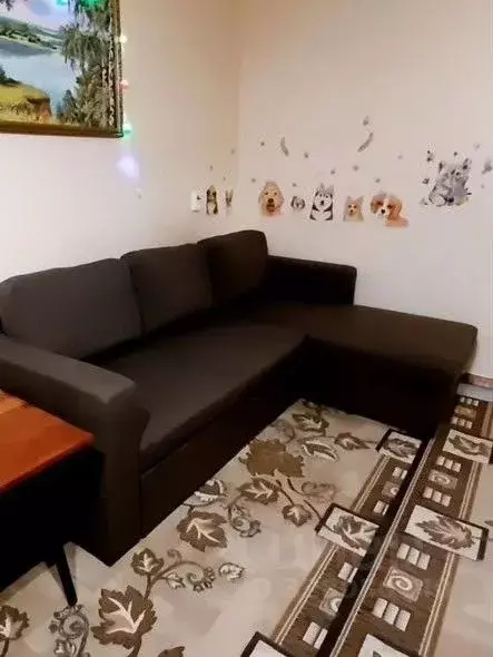 1-к кв. Кировская область, Омутнинск ул. Володарского, 18 (31.0 м) - Фото 1