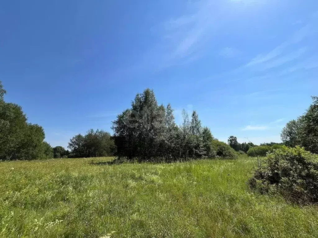 Участок в Владимирская область, Александровский муниципальный округ, ... - Фото 2