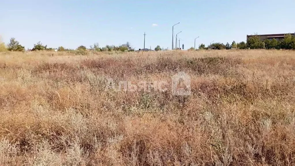 Участок в Ростовская область, Белокалитвинский район, Нижнепоповское ... - Фото 1