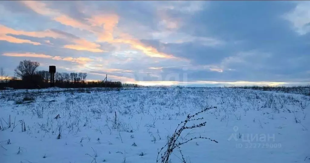 Участок в Белгородская область, Ивня рп, Сметановка хут.  (23.0 сот.) - Фото 1