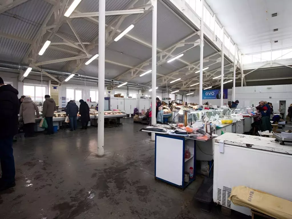 Помещение свободного назначения в Ульяновская область, Ульяновск ул. ... - Фото 1